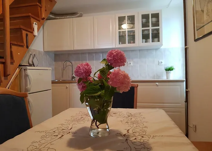 アパート View ツレス